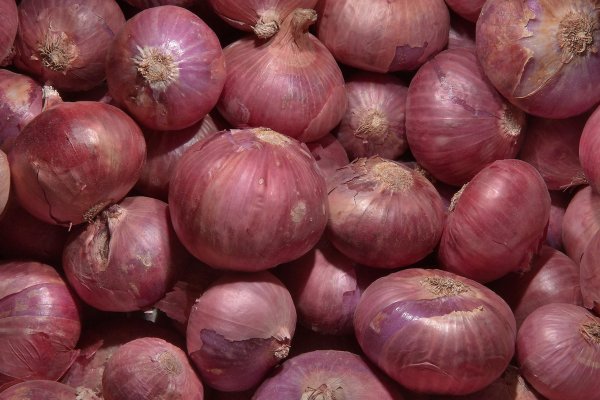 Новый сайт кракена onion